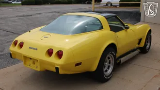 1979 Chevrolet Corvette photo 3