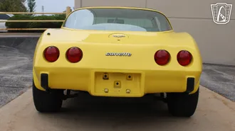 1979 Chevrolet Corvette photo 6