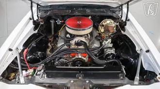 1981 Chevrolet Camaro photo 2