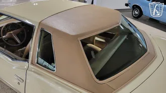 1976 Pontiac Grand Prix photo 6