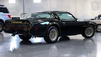1979 Pontiac Trans Am photo 6