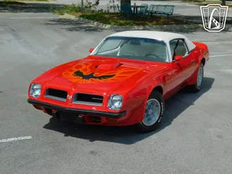 1974 Pontiac Firebird photo 6