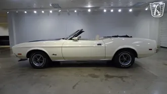 1973 Ford Mustang photo 6