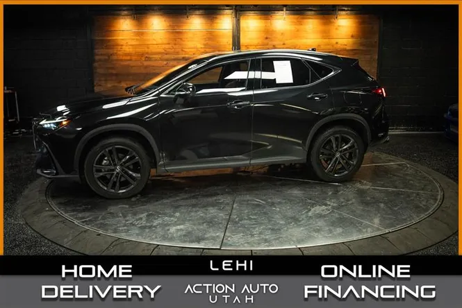 2024 LEXUS NX