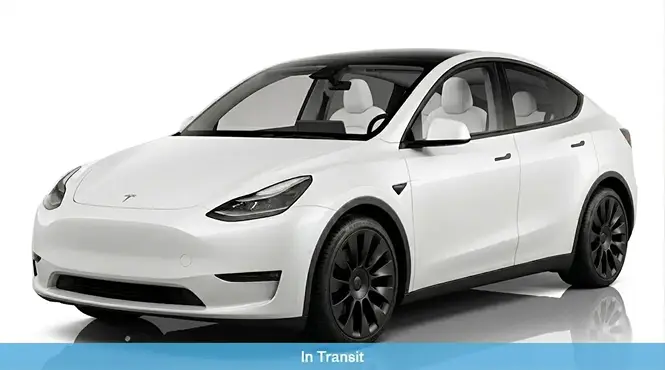 2020 Tesla Model Y