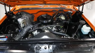 1976 Chevrolet K-20 photo 2