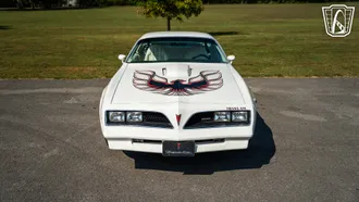 1977 Pontiac Firebird Trans-Am photo 2