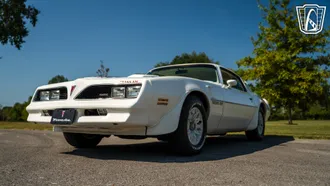1977 Pontiac Firebird Trans-Am photo 7