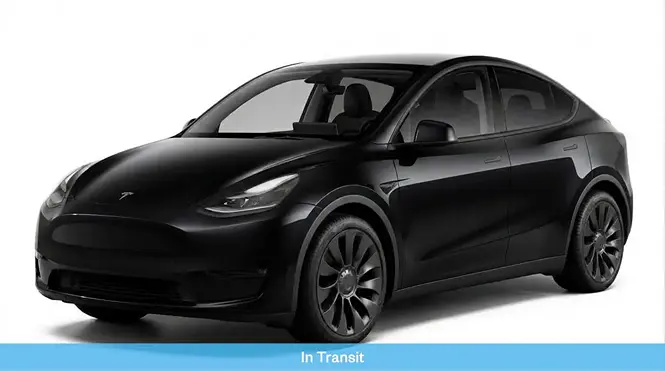 2023 Tesla Model Y 1