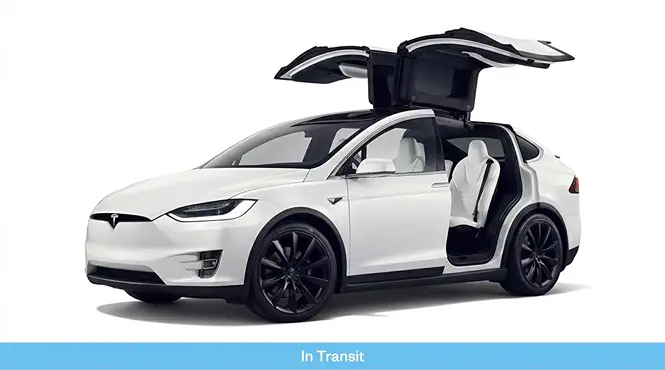 2019 Tesla Model X 1